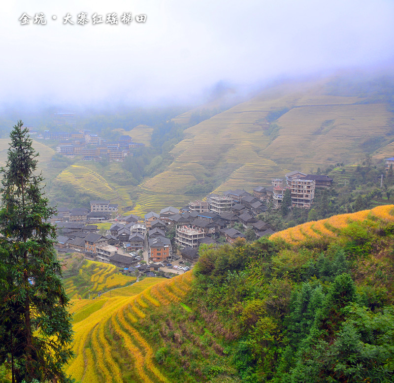 1577730263348127.jpg 2019-10-16 132445(1).jpg