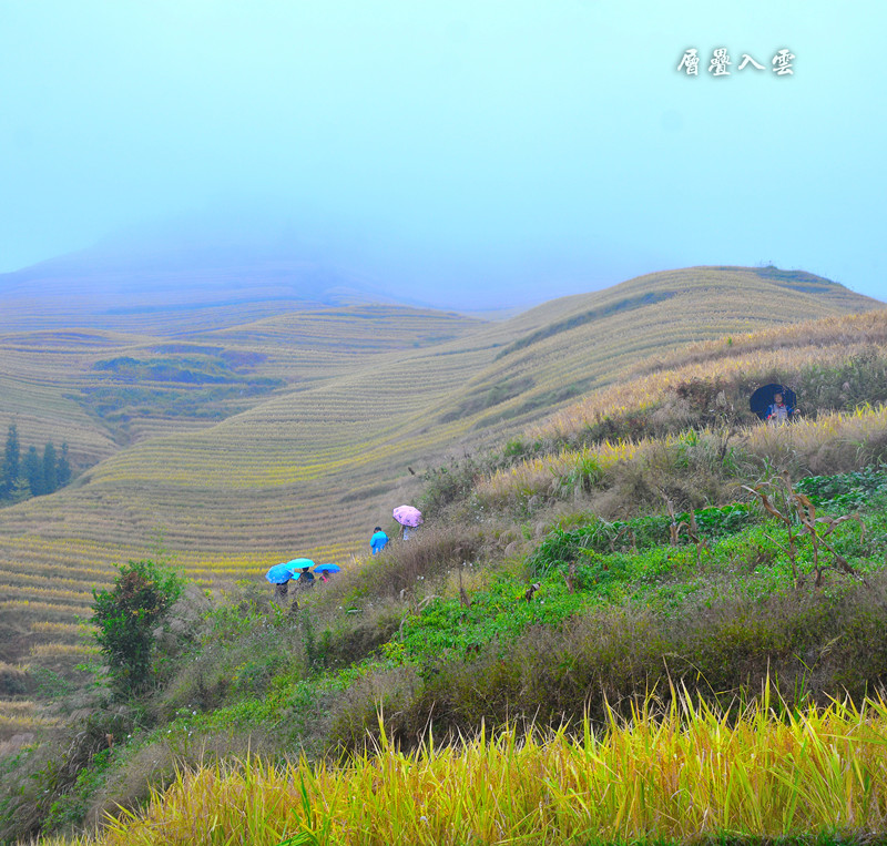 1577730283129052.jpg 2019-10-16 133021(1).jpg