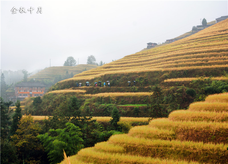 1577730380116715.jpg 2019-10-16 133639(1).jpg