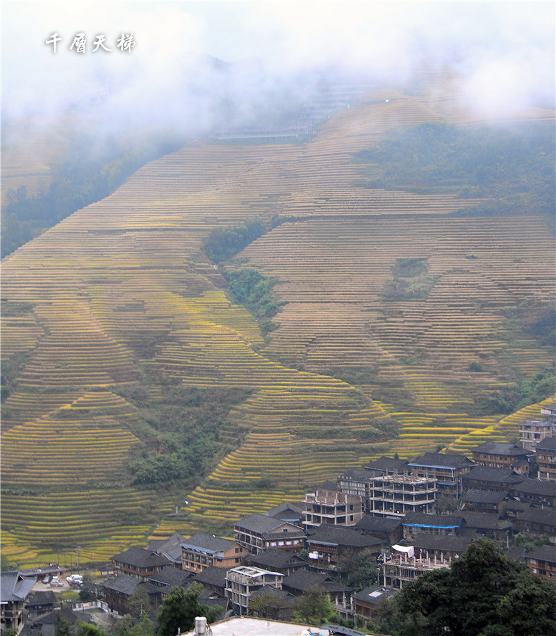 1577730431526278.jpg 2019-10-16 151434.jpg