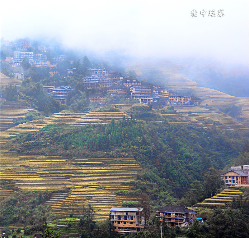 1577730456953842.jpg 2019-10-16 151725.jpg