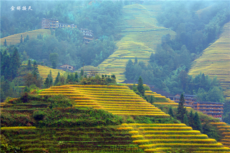 1577730491618883.jpg 2019-10-16 152235.jpg