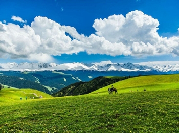 1577865380848242.jpg 1577857342103827_爱奇艺.jpg