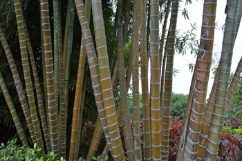 1579065928873028.jpg DSC_0134.JPG._副本.jpg