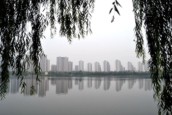 1579158801563716.jpg 1579066718130631.jpg