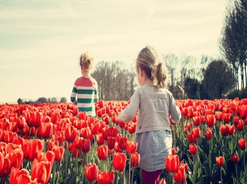 1580523480118178.jpg 1580469248913435_爱奇艺.jpg