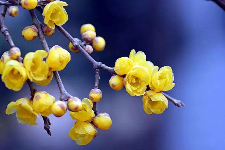 1581652398338574.jpg 微信图片_20190217184423.jpg