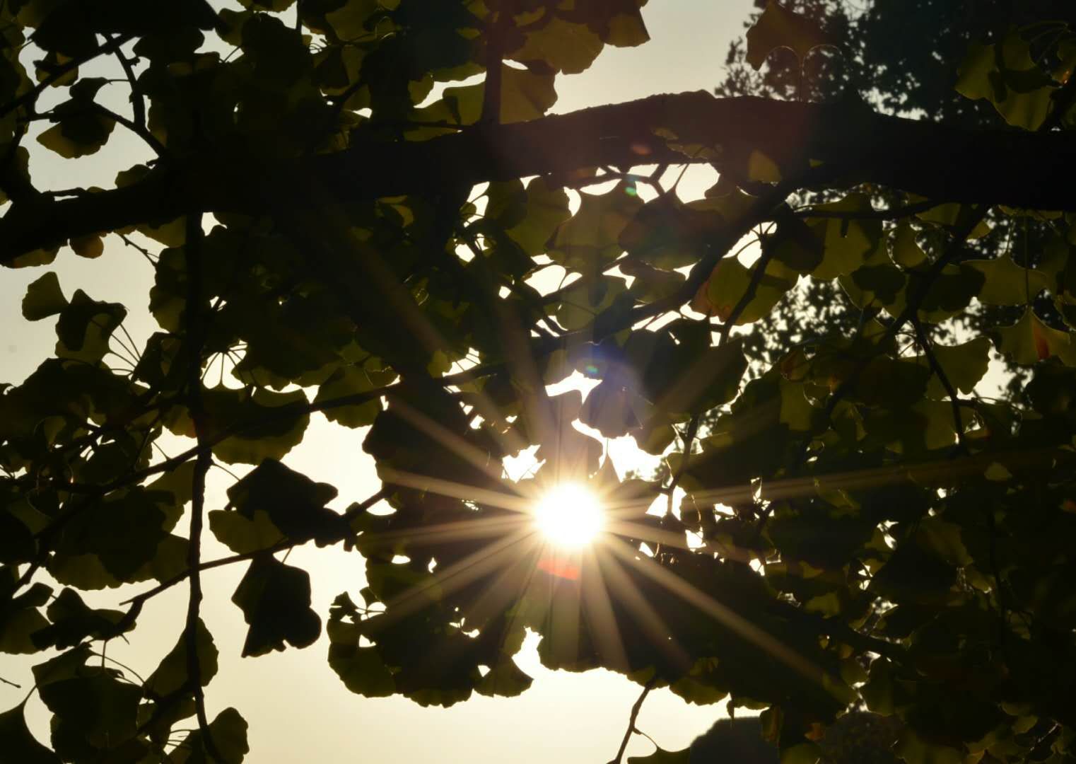 1581659035955133.jpg 微信图片_20191014192907.jpg