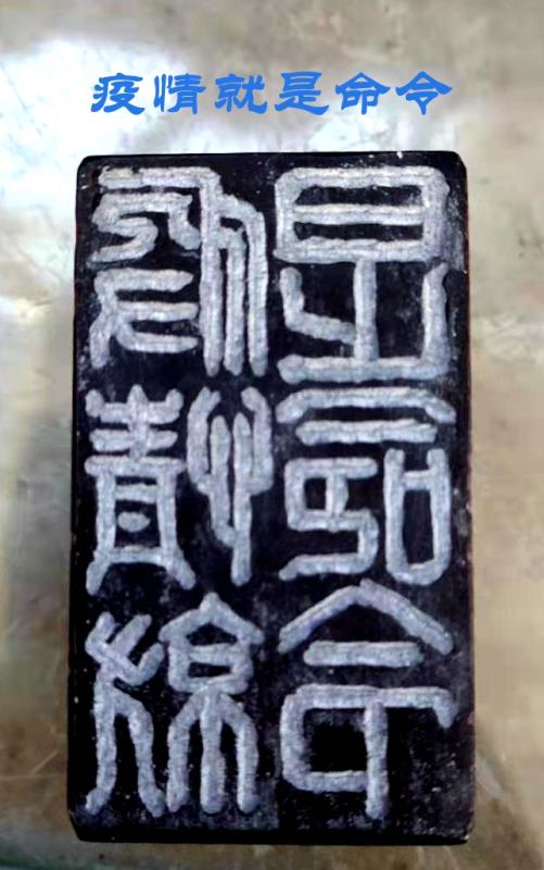疫情就是命令.王卫华.jpg