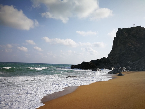 1583420183440129.jpg 微信图片_20200305225520_副本.jpg