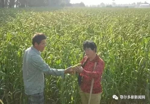 1583759241122601.jpeg 1583759241122601.jpeg