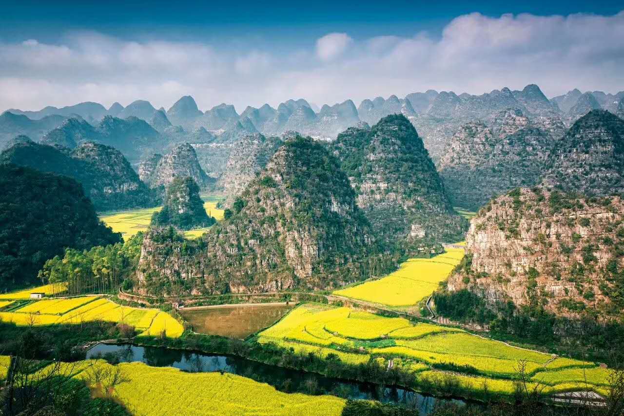 微信图片_20200315100500.jpg