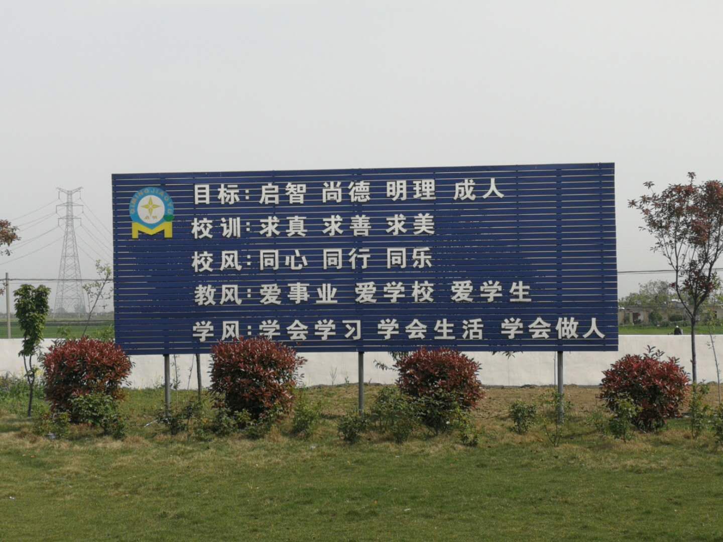 1587095860642378.jpg mmexport1587094561399.jpg