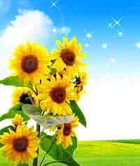 u=398521891,3704367899&fm=27&gp=0.jpg