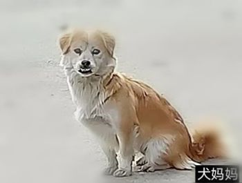 1595202926905603.jpg