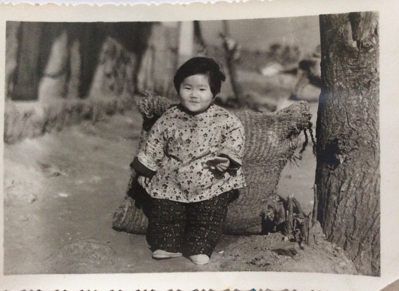 1595587289668972.jpg 4aa0f552155b1c8217309ac322eeeeb.jpg