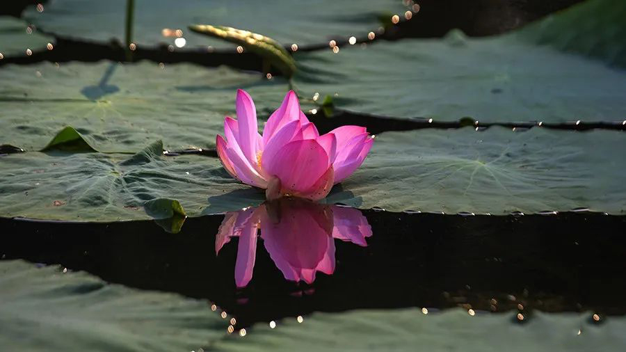 1595944821889552.jpeg 640-15.jpeg