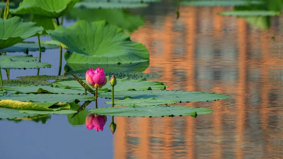 1595944838801552.jpeg 640-17.jpeg