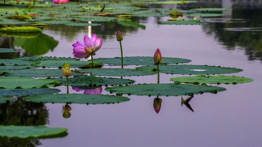 1595945077917308.jpeg 640-20.jpeg