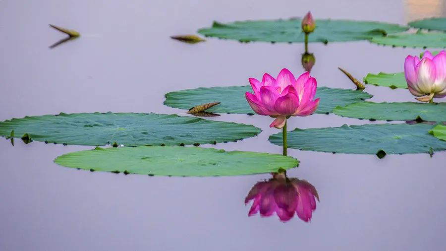 1595945112990333.jpeg 640-23.jpeg