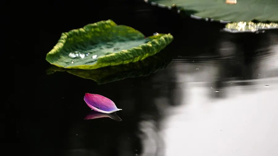 1595945289830814.jpeg 640-29.jpeg