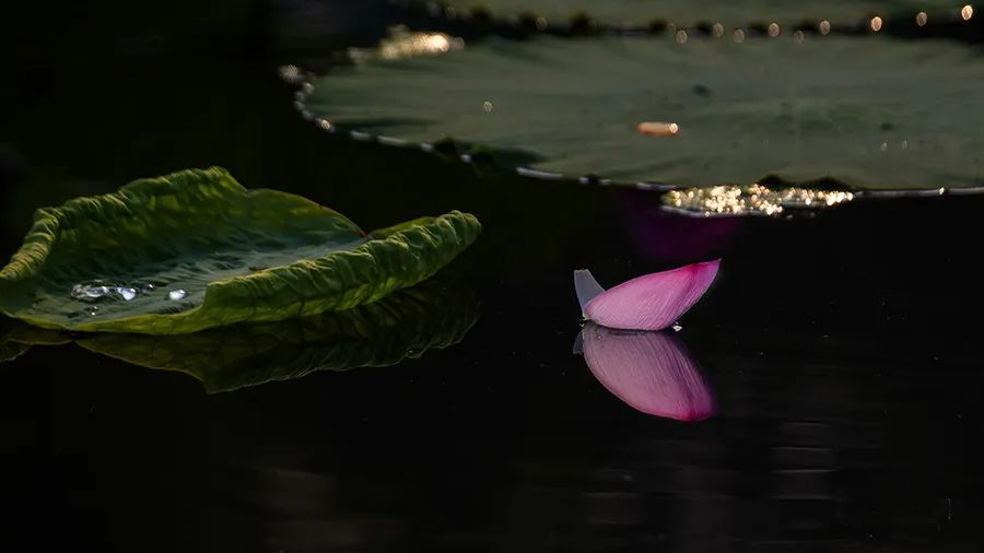 1595945300121246.jpeg 640-30.jpeg