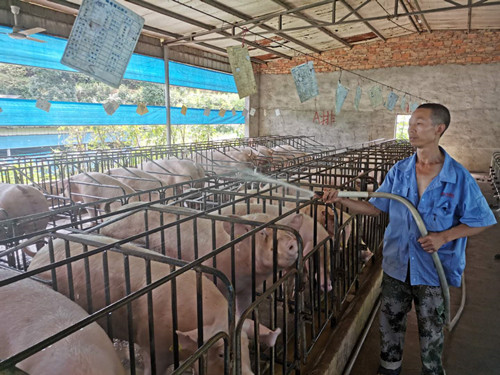 1596771287139246.jpg 1596771287139246.jpg