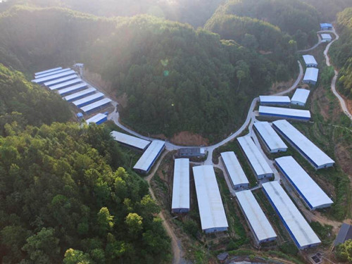 1596771312849361.jpg 1596771312849361.jpg