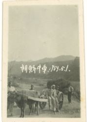 1597826545106426.jpg 在朝鲜战争间隙开展“助民劳动”.jpg