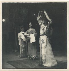 豫剧演出团.jpg