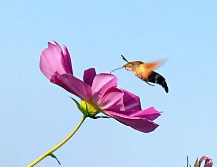 1603016877343178.jpg 定力 王布摄.jpg