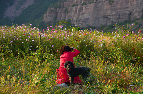 1603017238384058.jpg 主仆 李东顺摄.jpg