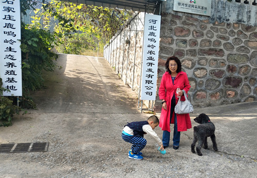 1603017300130386.jpg 清晨 李东顺摄.jpg