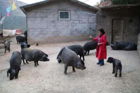 色彩对比  曹书杰摄.jpg