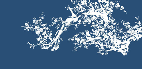 1606227417586695.jpg 1606227417586695.jpg