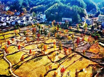 微信图片_20201125081626.jpg