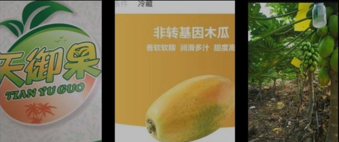 1608301474584414.png 1608297884(1).png