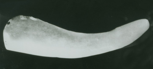 1610076462239773.jpg
