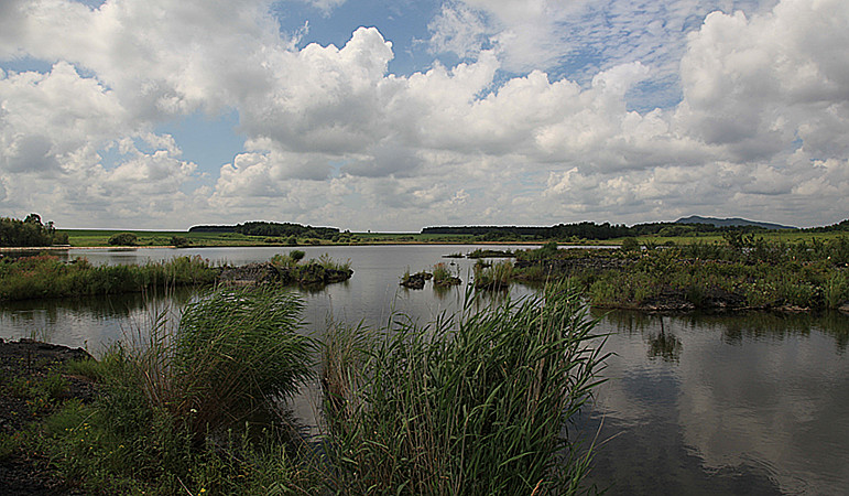 1610588186114843.jpg IMG_1726_副本.jpg