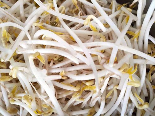 1611789260544567.jpg 0652096cf608e3603e1332c522eb8de_副本.jpg