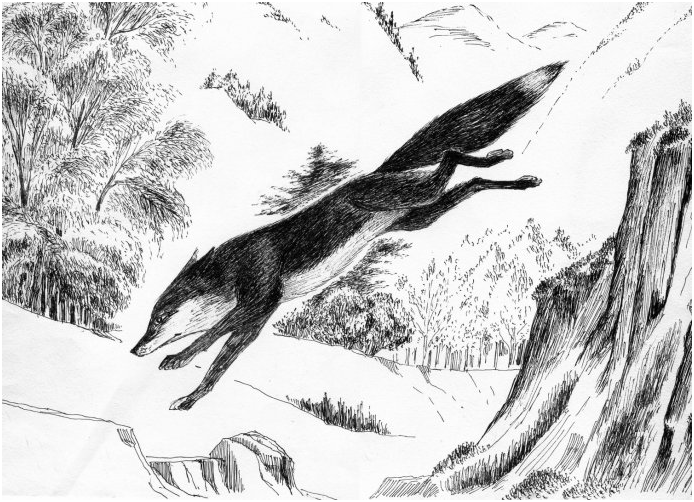 1612705206110953.png 狐4.png