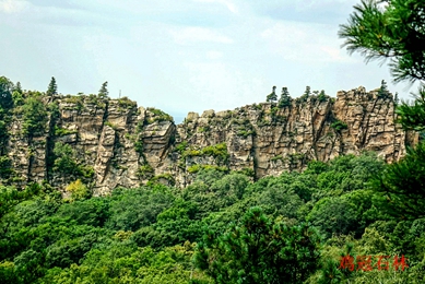 鸡冠石林 高260.jpg