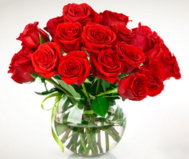 1613613707295972.png t0117cce4ba68933fa7.png