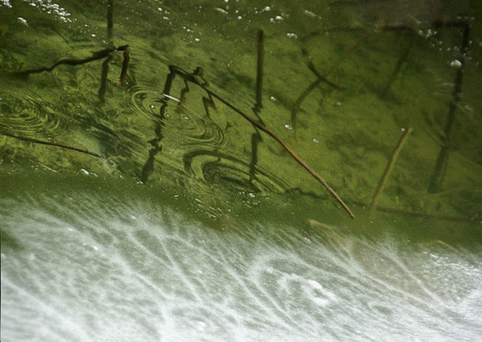 1615891950721470.jpg 4.jpg