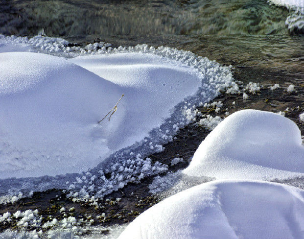 1615891959425153.jpg 5.jpg