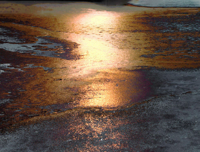 1615891996111555.jpg 8.jpg