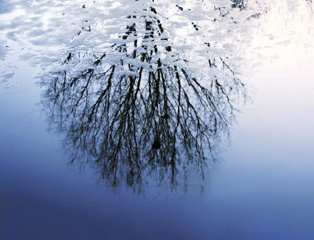 1615892009126638.jpg 9.jpg