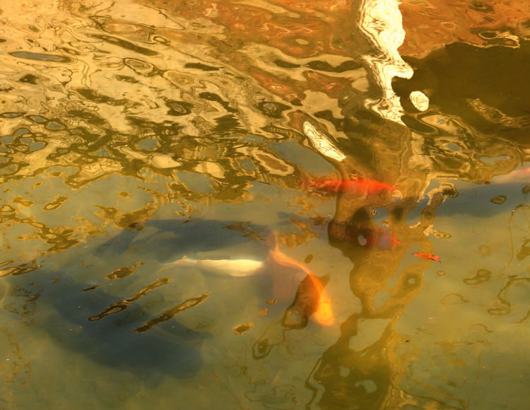 1615892038108599.jpg 12.jpg