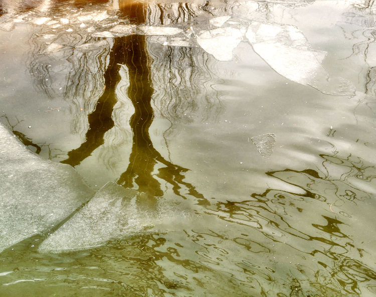 1615892055298812.jpg 14.jpg