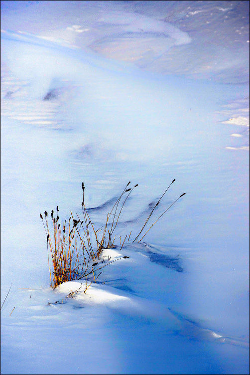 1615892064384316.jpg 15.jpg